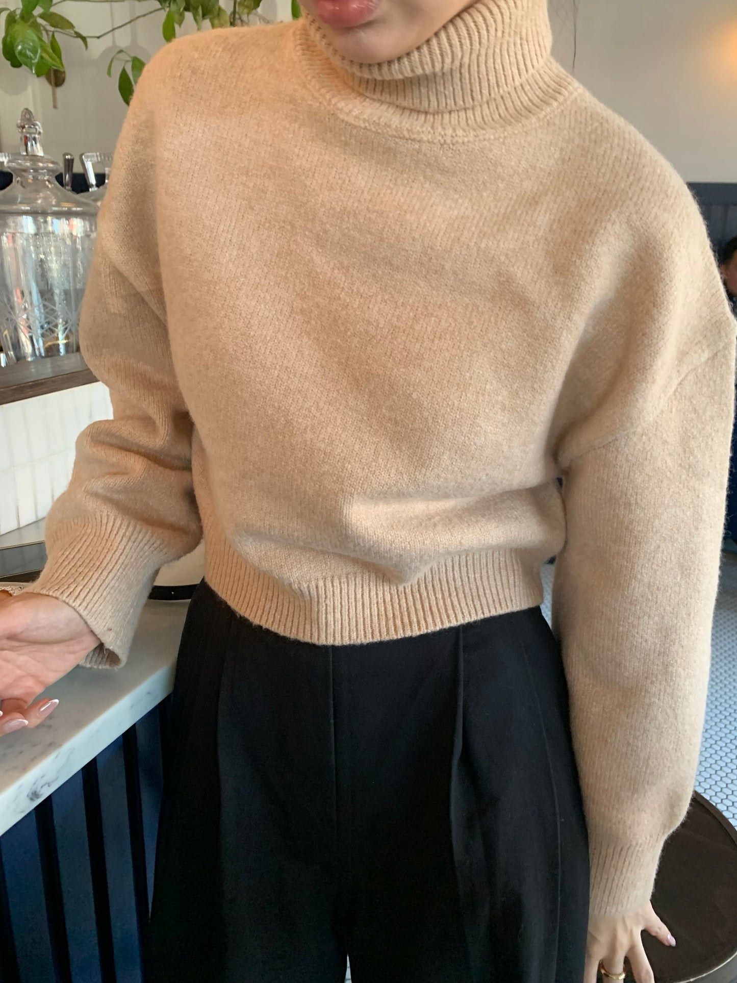 Cropped Turtle-Neckline Sweater