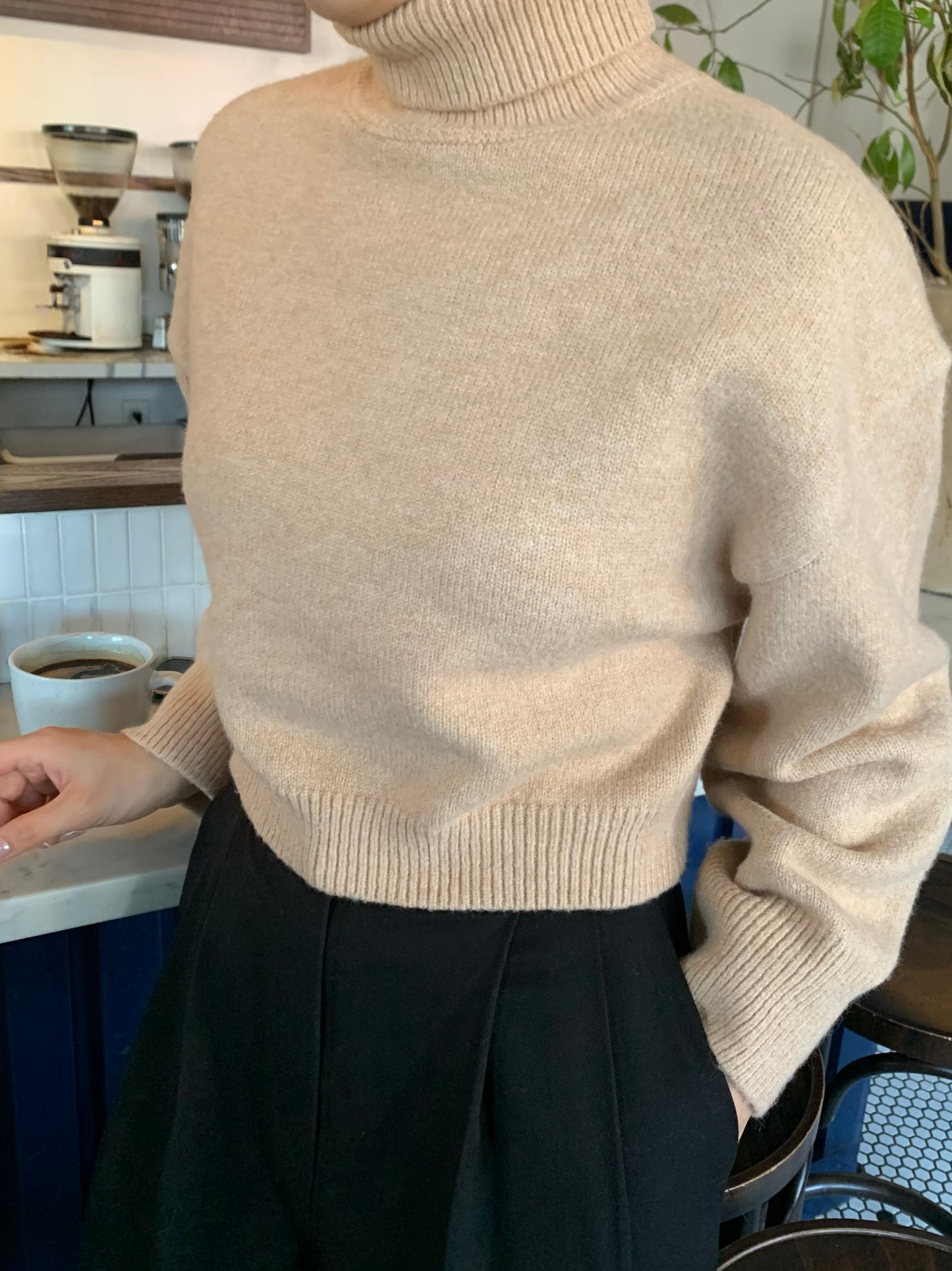 Cropped Turtle-Neckline Sweater