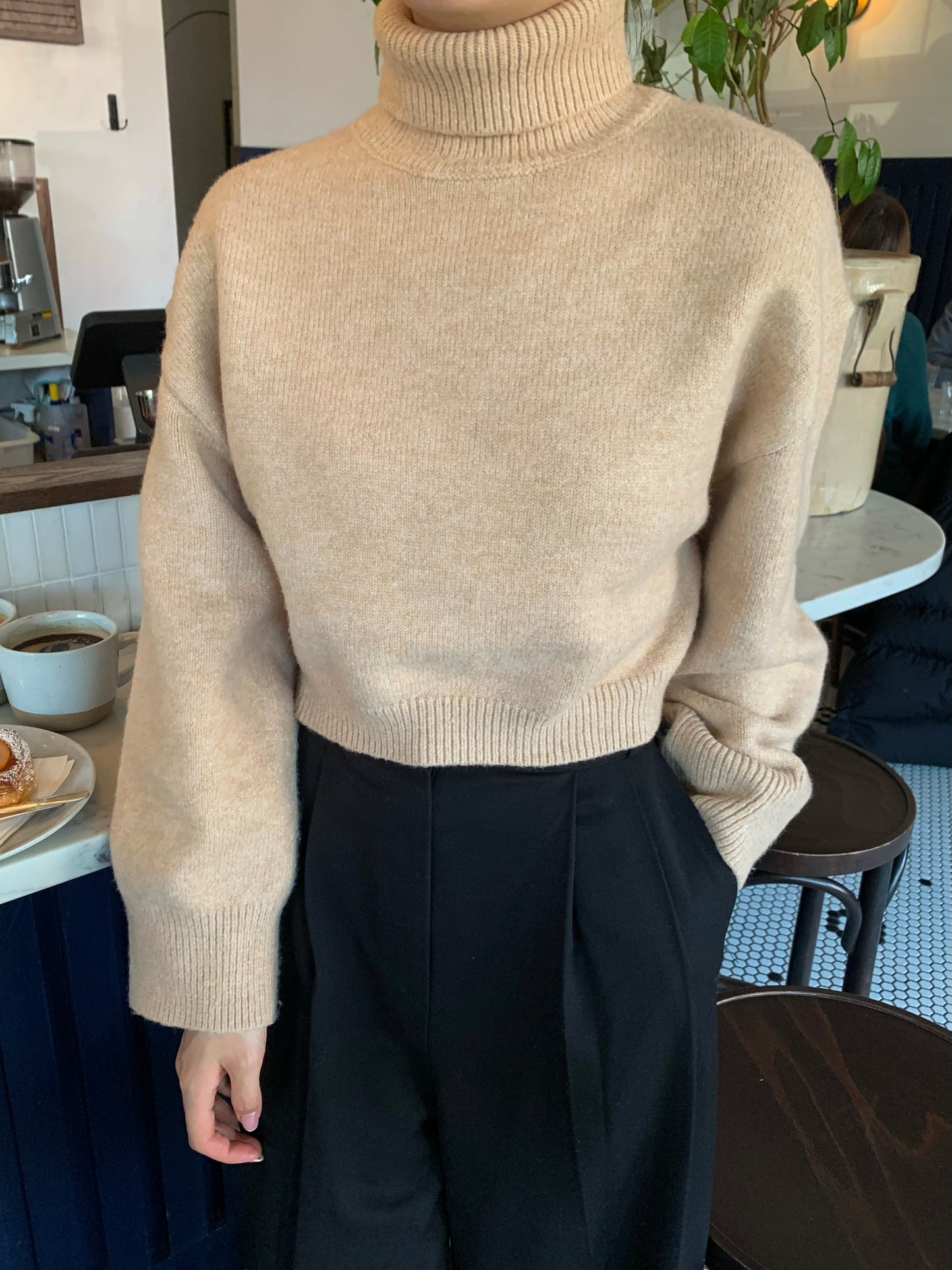 Cropped Turtle-Neckline Sweater