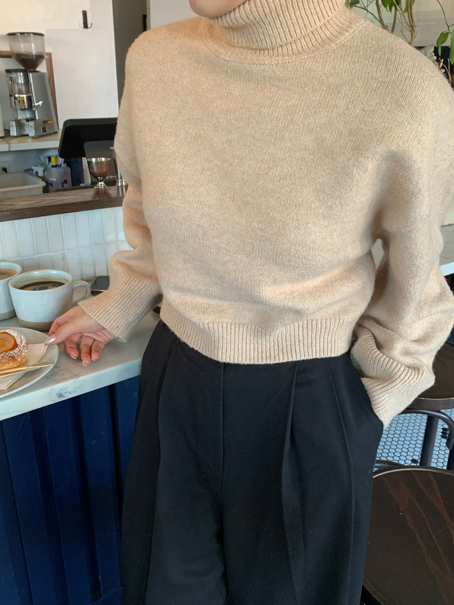 Cropped Turtle-Neckline Sweater