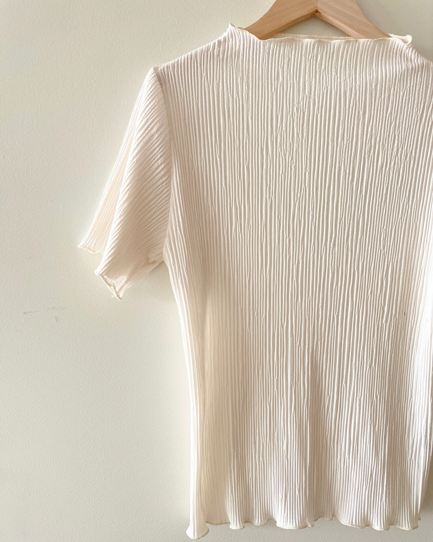 Pleated Blouse