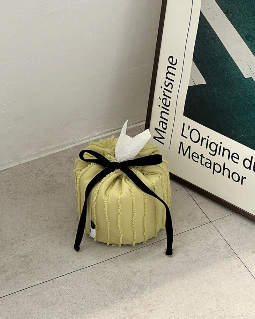 [REPEAT] Round Cake Tissue Case